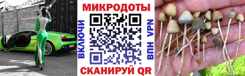 Купить  Апатиты  Галлюциногенные грибы Cubensis 